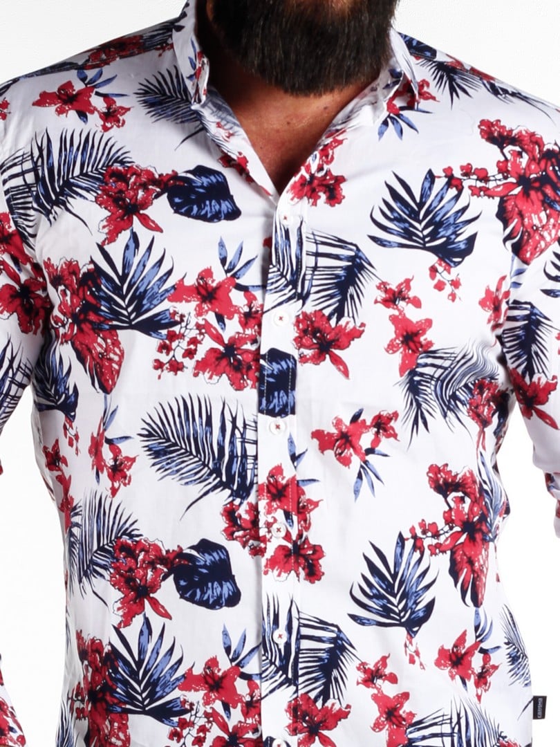 C-8394-hawai (12)