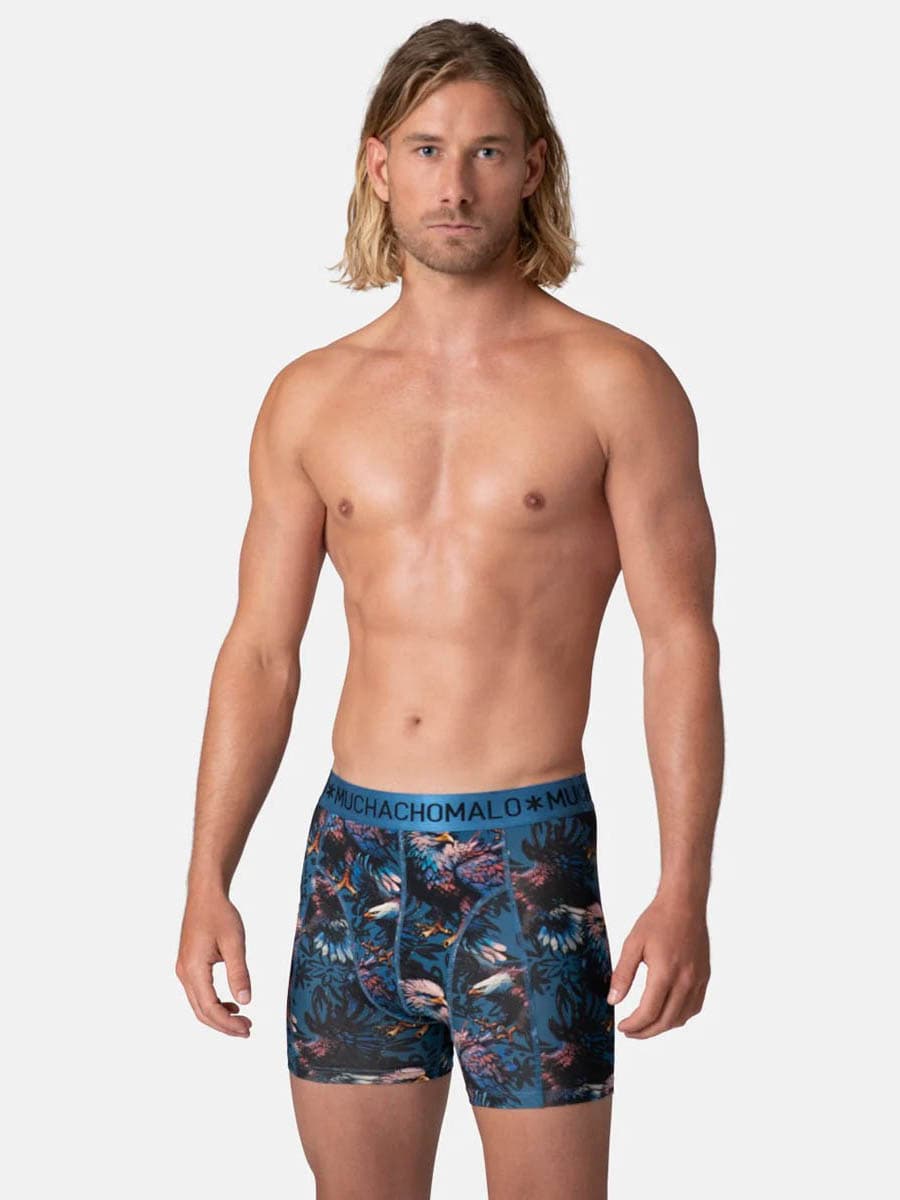 heren-2-pack-boxershorts-cotton-modal-eagle1010-01-4829832.jpg